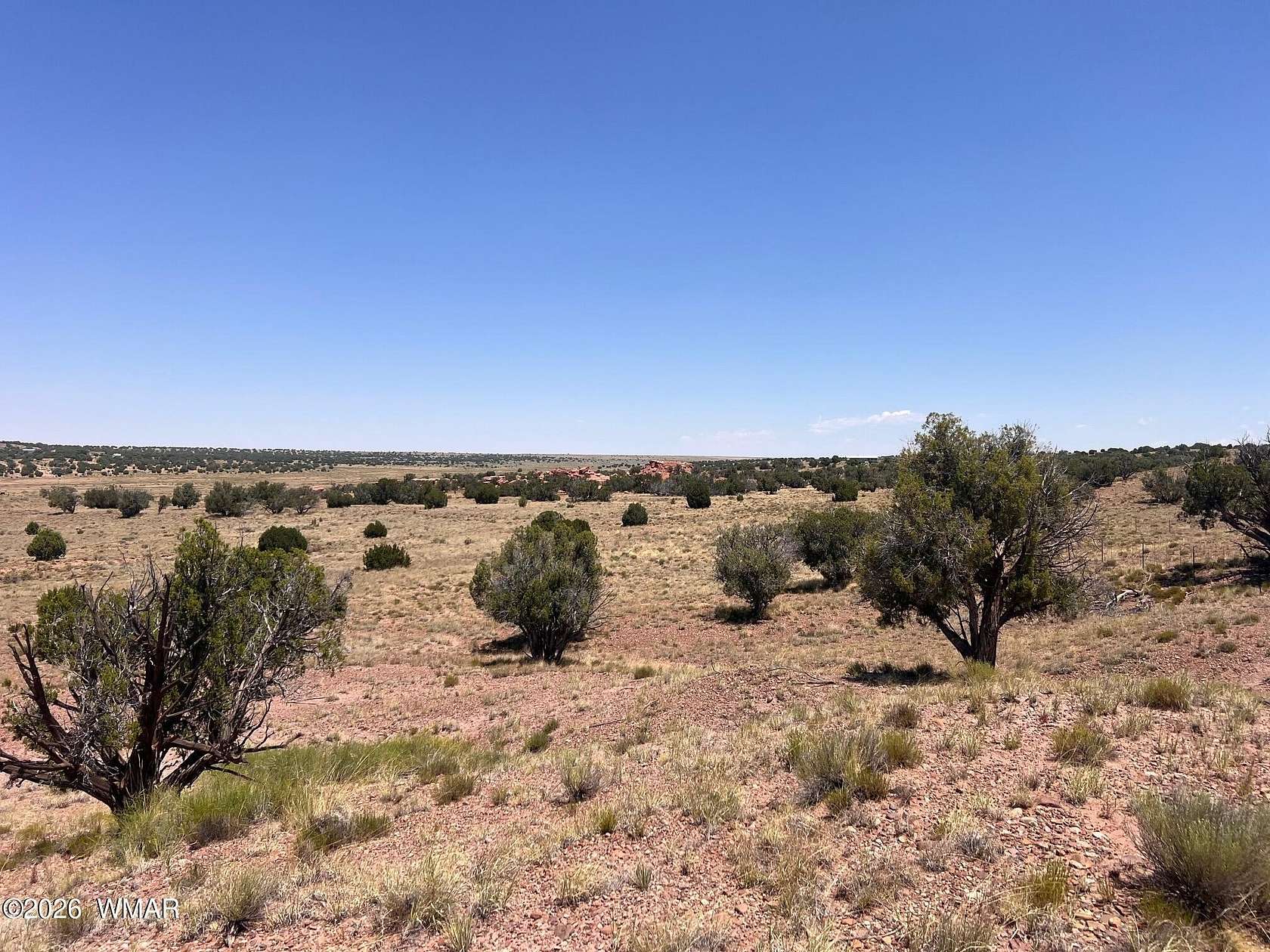 36.5 Acres of Land for Sale in Concho, Arizona