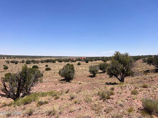 36.5 Acres of Land for Sale in Concho, Arizona