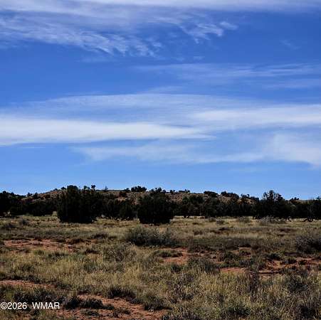 41.3 Acres of Recreational & Residential Land for Sale in Snowflake, Arizona