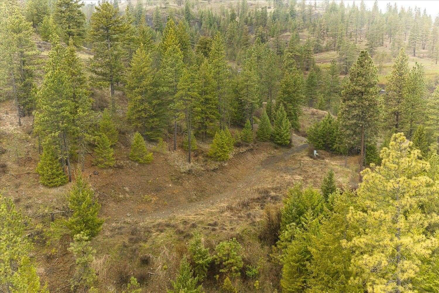 7.1 Acres of Residential Land for Sale in Davenport, Washington