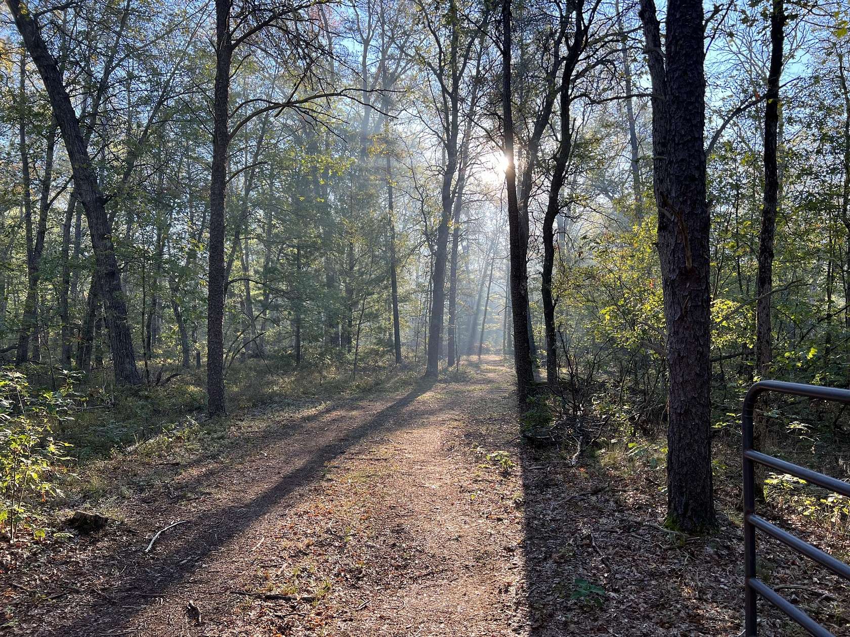 4.8 Acres of Residential Land for Sale in Baldwin, Michigan