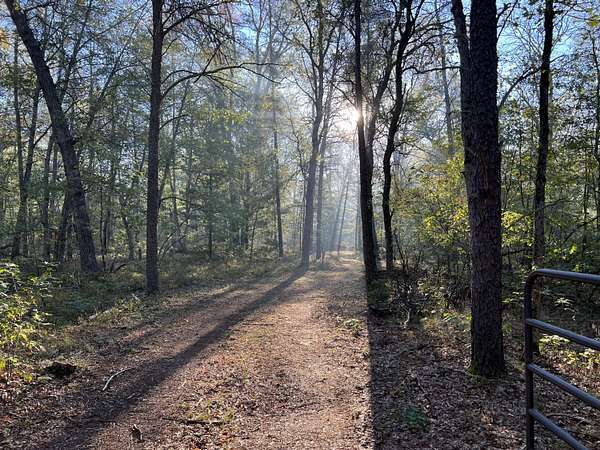 4.8 Acres of Residential Land for Sale in Baldwin, Michigan