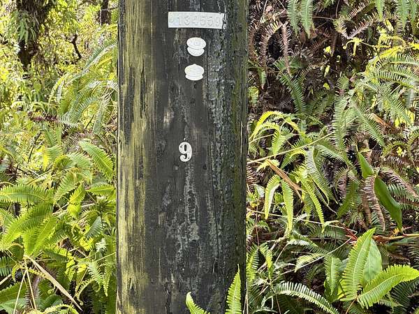 1 Acre of Residential Land for Sale in Mountain View, Hawaii