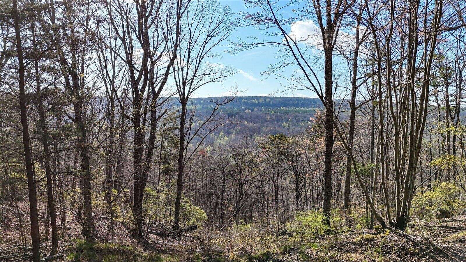 1.45 Acres of Residential Land for Sale in Haletown, Tennessee