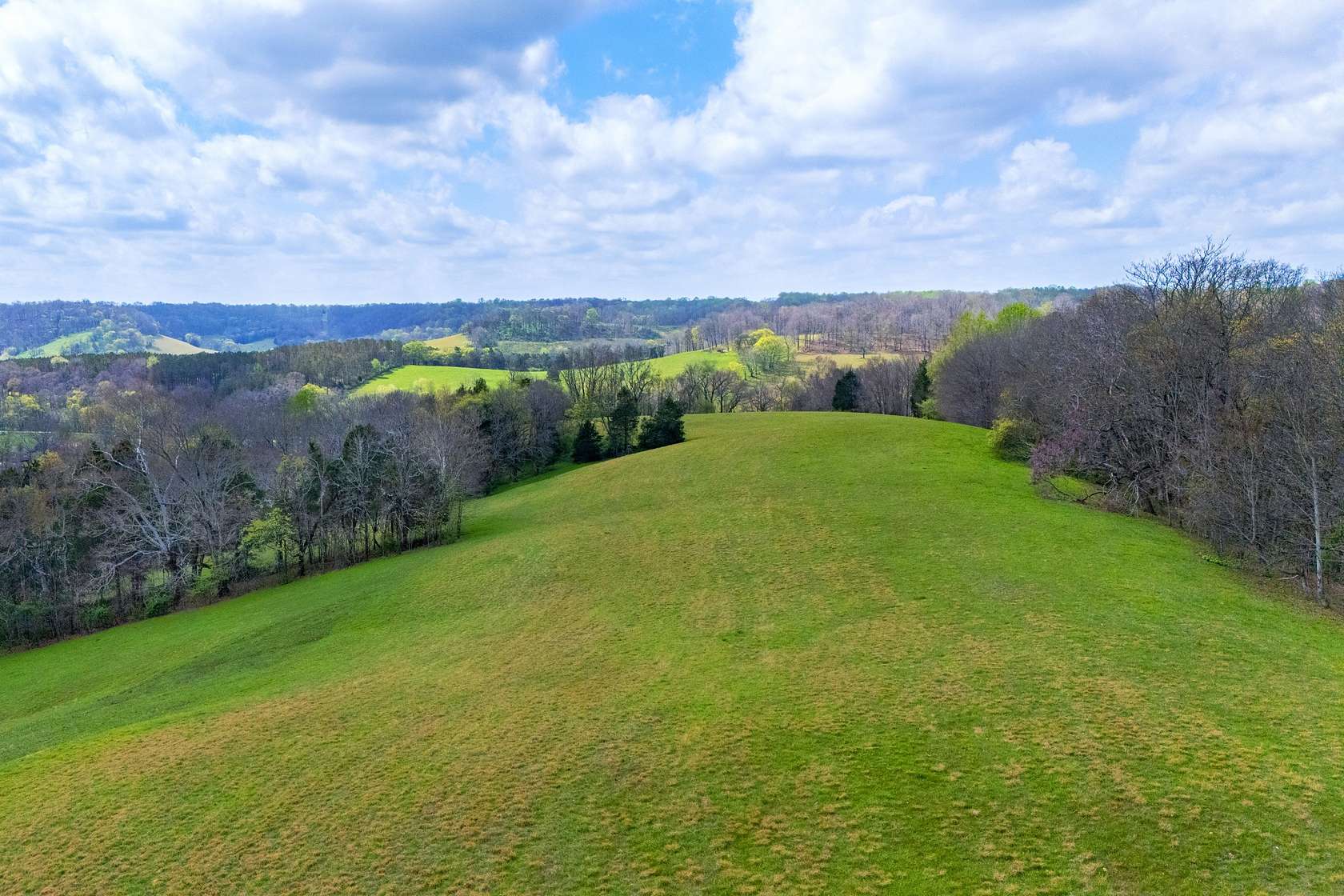 90 Acres of Land for Sale in Lynnville, Tennessee