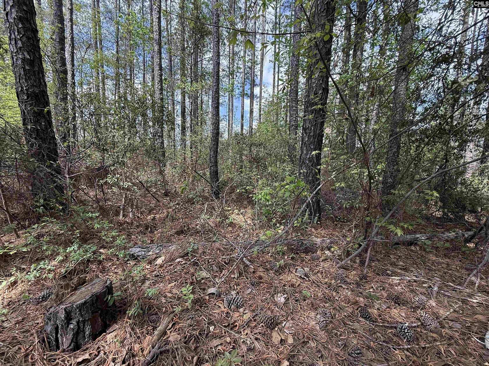 0.28 Acres of Residential Land for Sale in Blythewood, South Carolina