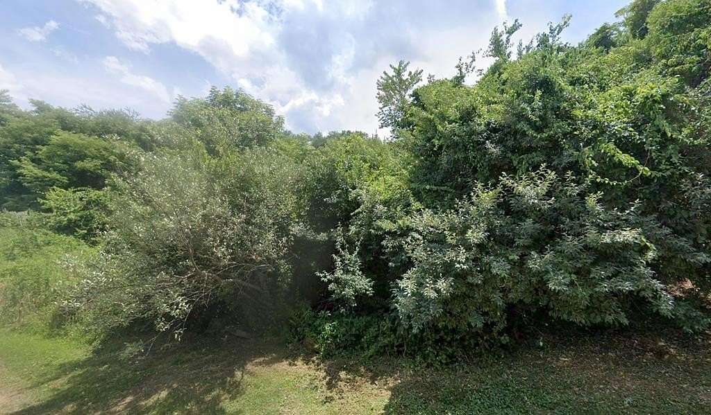 64 Acres of Recreational & Residential Land for Sale in Bluefield, Virginia