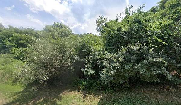 64 Acres of Recreational & Residential Land for Sale in Bluefield, Virginia