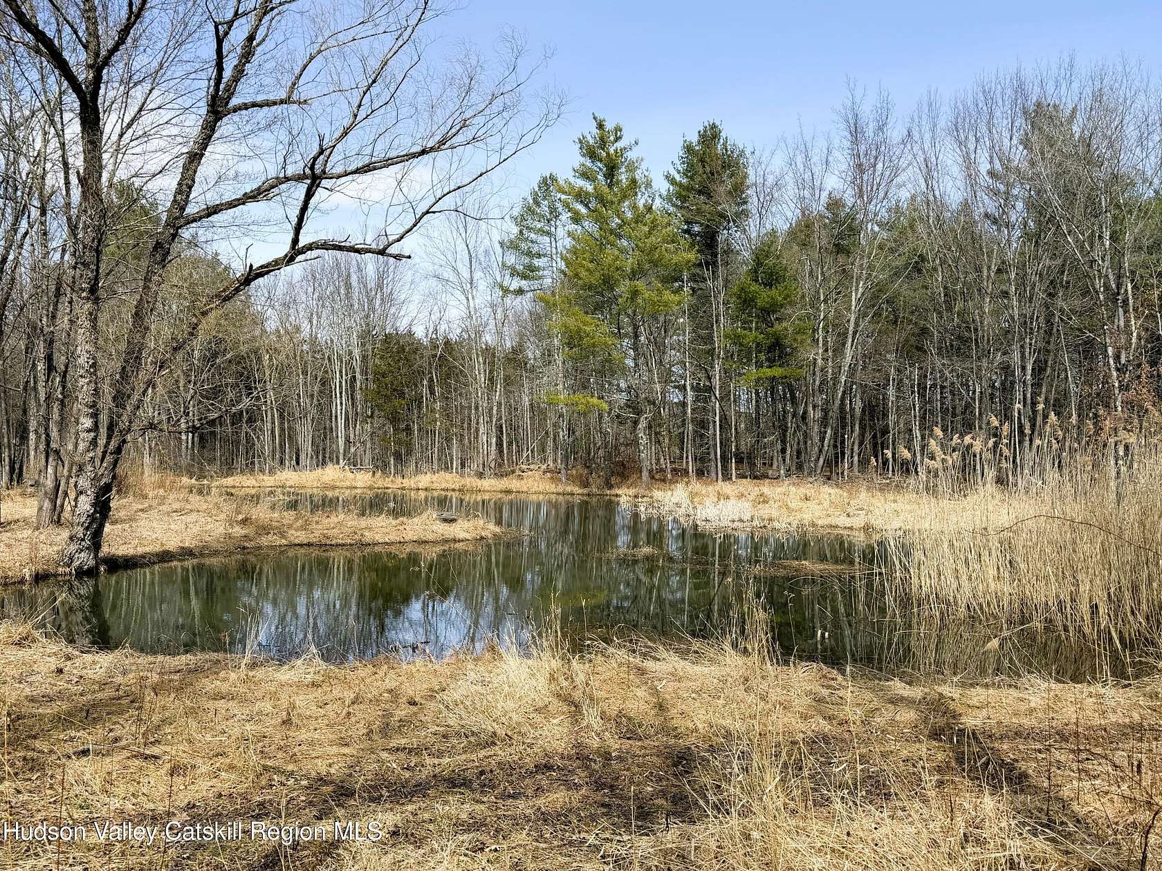 19.9 Acres of Land for Sale in Cairo, New York