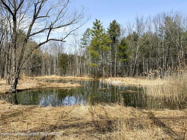 19.9 Acres of Land for Sale in Cairo, New York