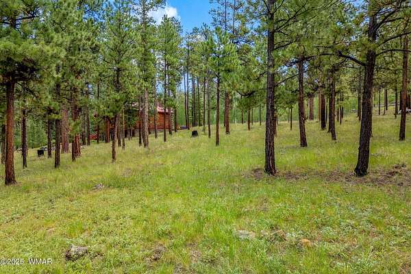 1 Acre of Residential Land for Sale in Greer, Arizona