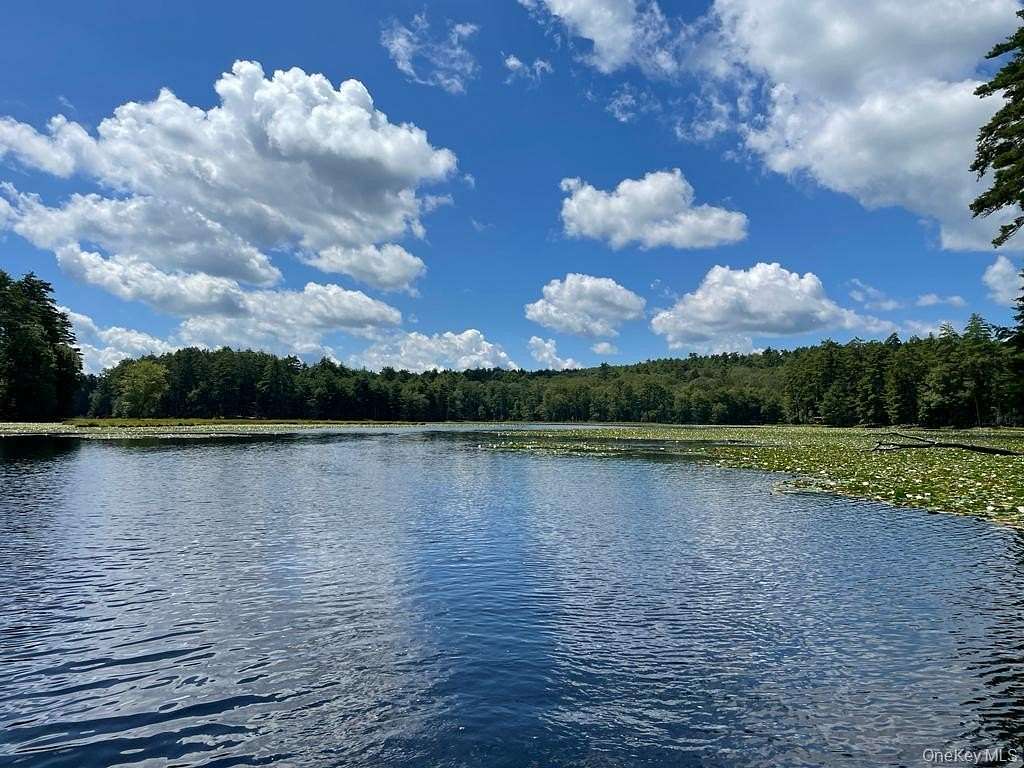 820 Acres of Land for Sale in Eldred, New York