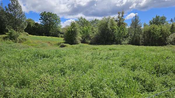 0.51 Acres of Residential Land for Sale in Manton, California