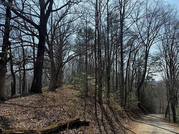 1.69 Acres of Land for Sale in Whittier, North Carolina