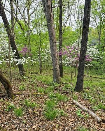 0.27 Acres of Residential Land for Sale in Bella Vista, Arkansas