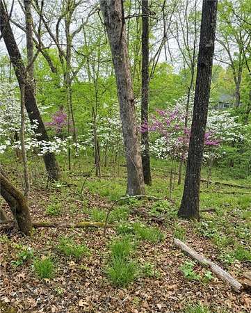 0.27 Acres of Residential Land for Sale in Bella Vista, Arkansas