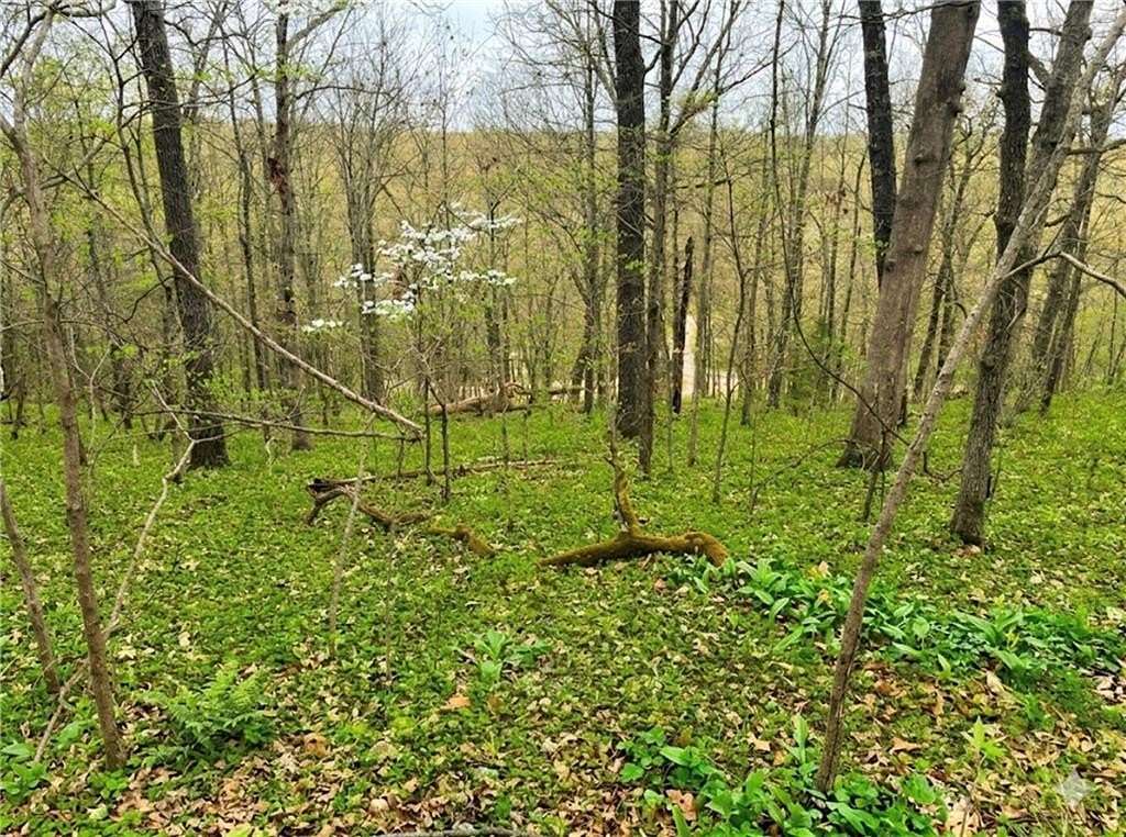 0.47 Acres of Residential Land for Sale in Bella Vista, Arkansas