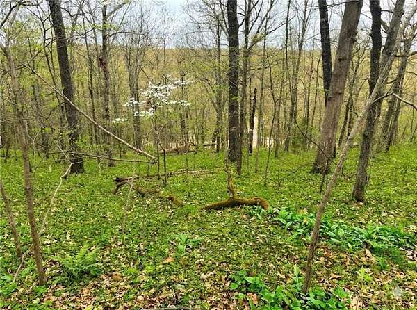 0.47 Acres of Residential Land for Sale in Bella Vista, Arkansas