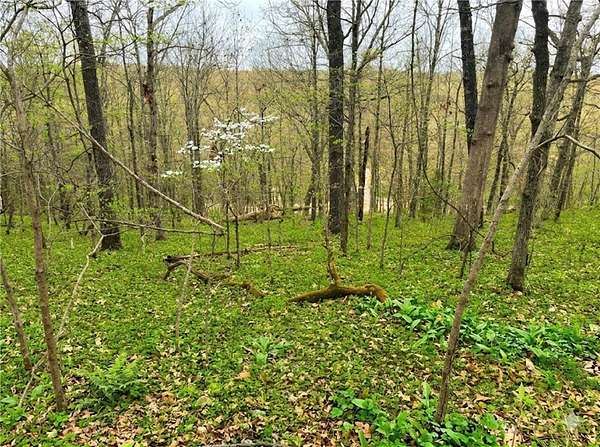 0.47 Acres of Residential Land for Sale in Bella Vista, Arkansas