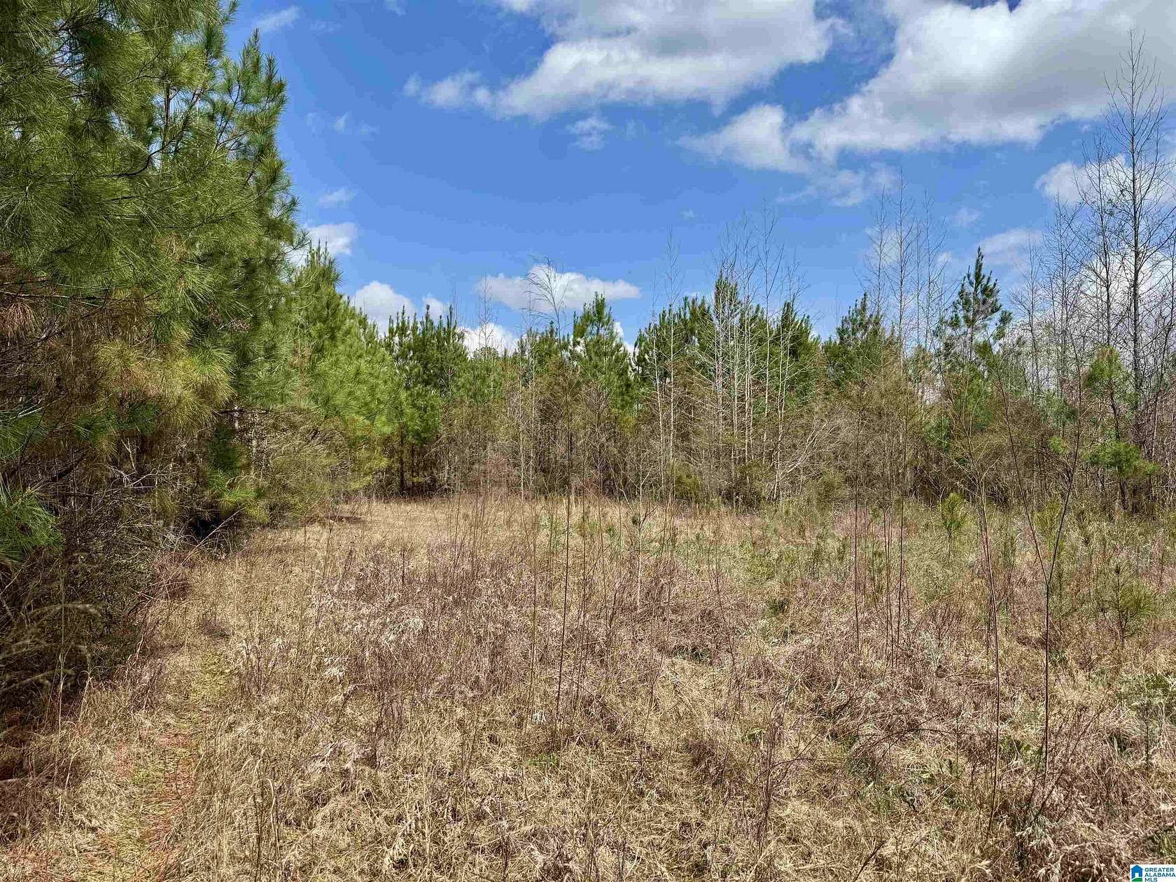 18.7 Acres of Recreational & Residential Land for Sale in Tallassee, Alabama