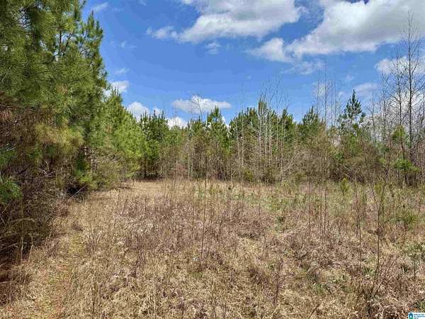18.7 Acres of Recreational & Residential Land for Sale in Tallassee, Alabama