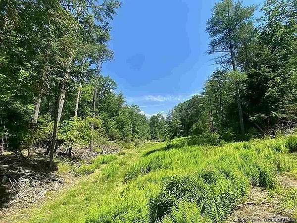 61 Acres of Recreational & Residential Land for Sale in Kingston, New York