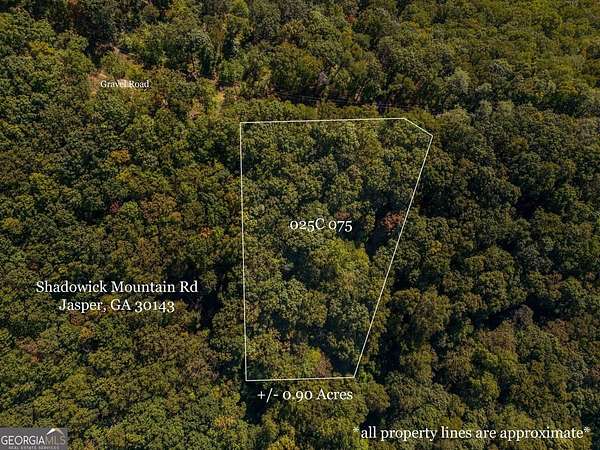 0.9 Acres of Residential Land for Sale in Jasper, Georgia