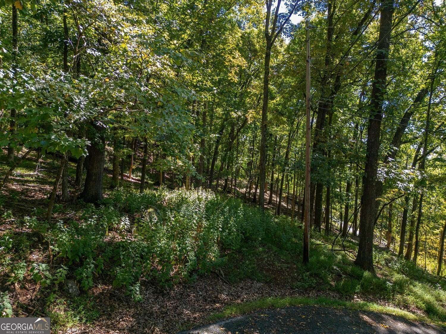 1.25 Acres of Residential Land for Sale in Jasper, Georgia