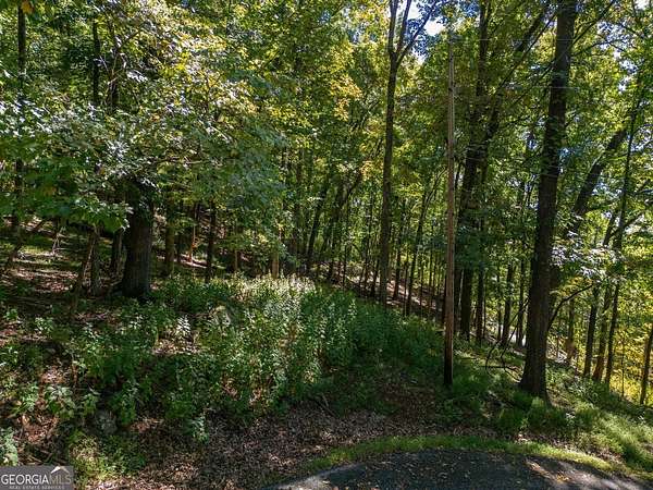 1.25 Acres of Residential Land for Sale in Jasper, Georgia