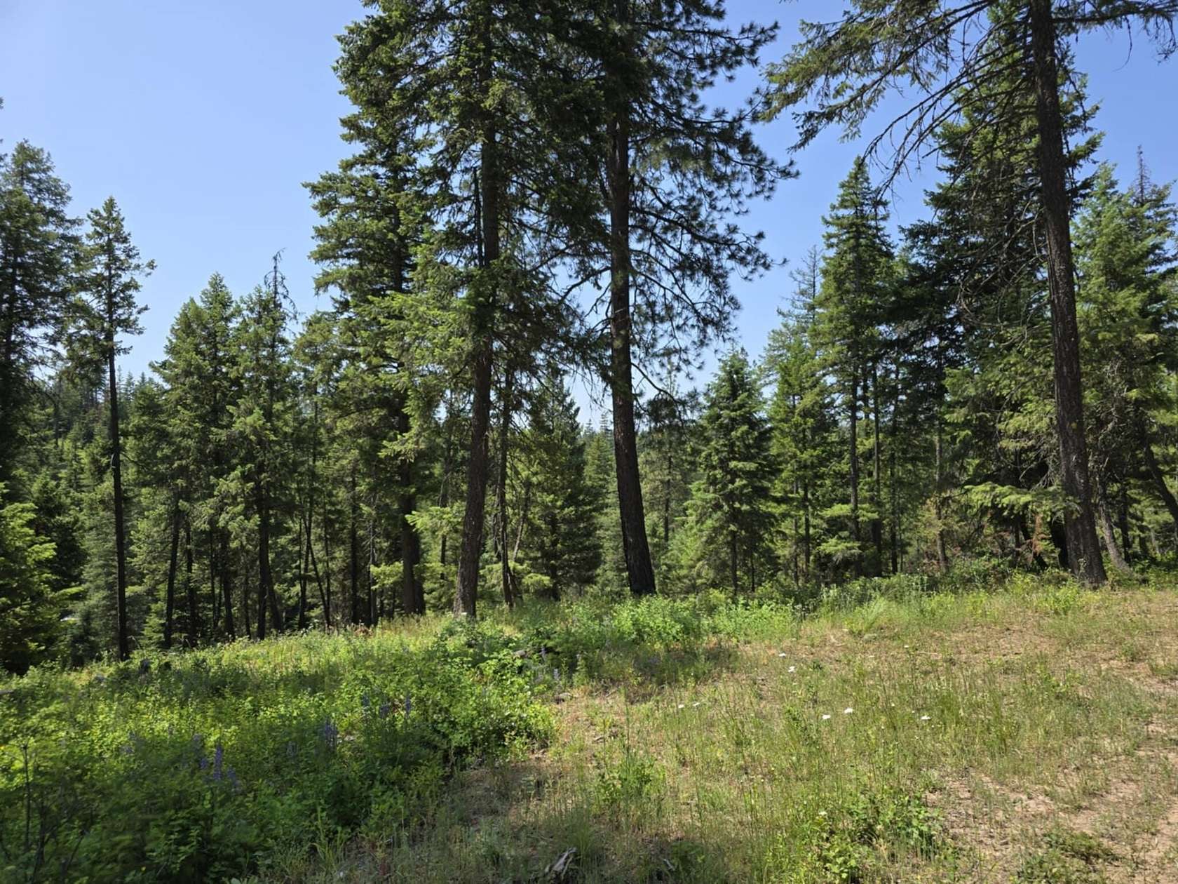 20 Acres of Recreational Land for Sale in Springdale, Washington
