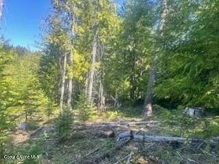 10 Acres of Land for Sale in St. Maries, Idaho