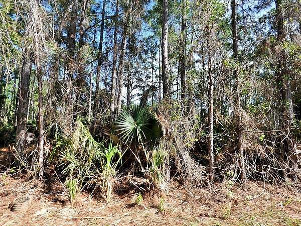 0.23 Acres of Residential Land for Sale in North Port, Florida