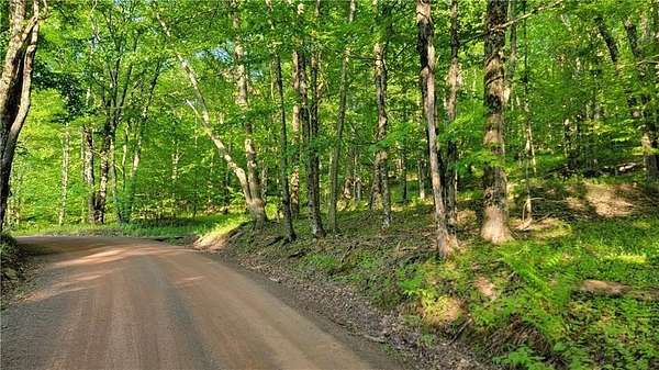 53.7 Acres of Recreational & Residential Land for Sale in Bovina Center, New York