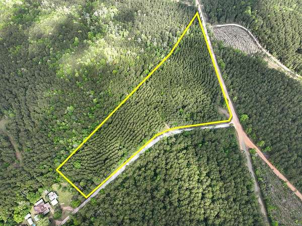 11 Acres of Recreational Land for Sale in Woodville, Texas