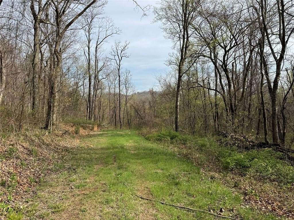 16 Acres of Recreational Land for Sale in Mount Judea, Arkansas