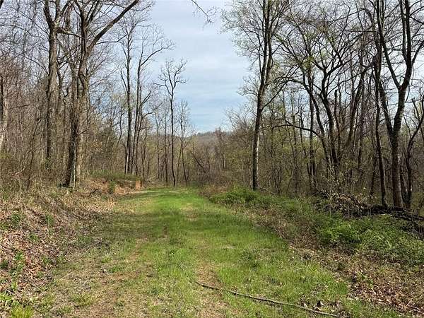 16 Acres of Recreational Land for Sale in Mount Judea, Arkansas