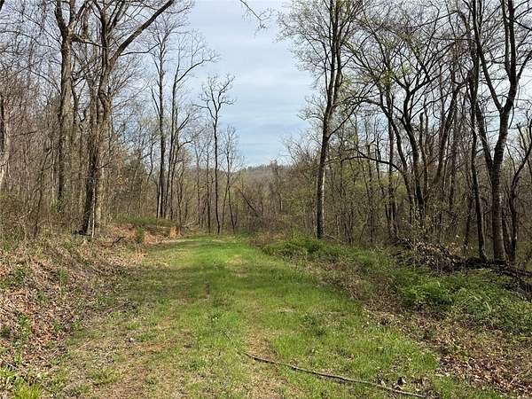 16 Acres of Recreational Land for Sale in Mount Judea, Arkansas