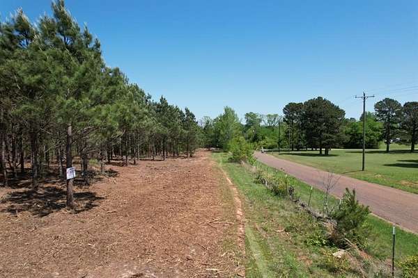 31.5 Acres of Recreational & Residential Land for Sale in Gladewater, Texas