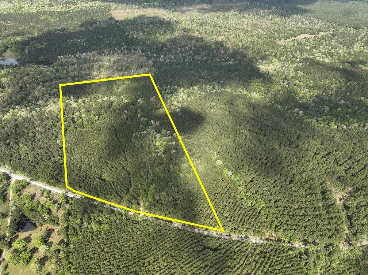 45 Acres of Recreational Land for Sale in Woodville, Texas