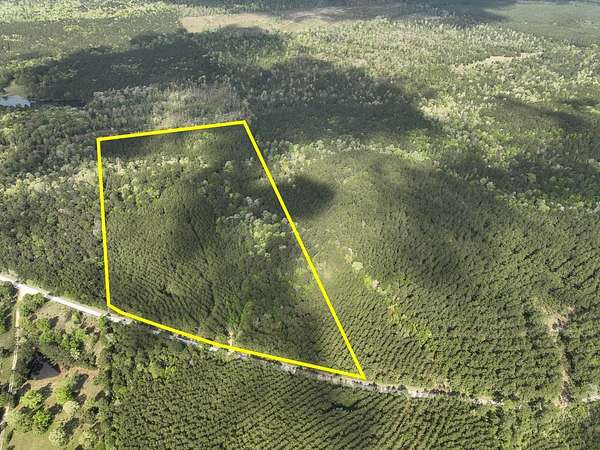 45 Acres of Recreational Land for Sale in Woodville, Texas