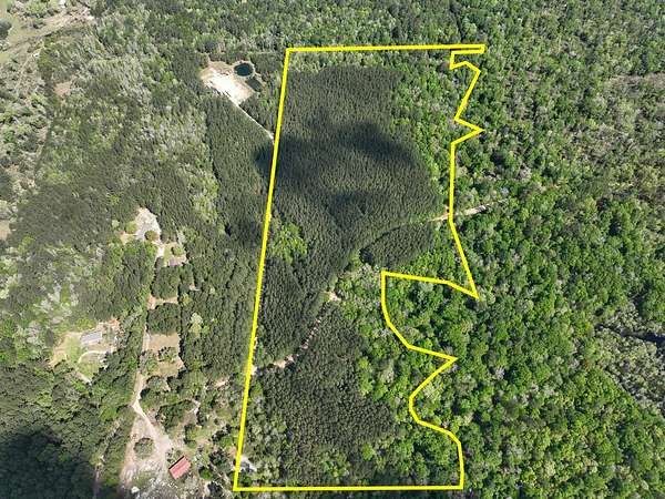 47 Acres of Recreational Land for Sale in Warren, Texas