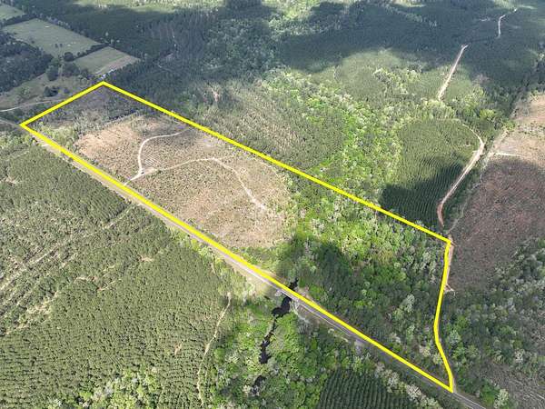 41 Acres of Recreational Land for Sale in Warren, Texas