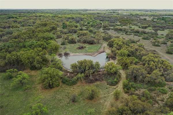 121 Acres of Land for Sale in Carbon, Texas