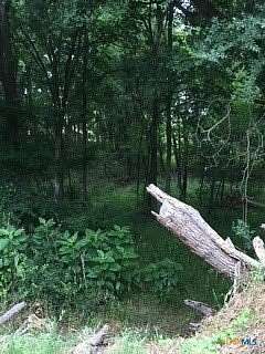 3.66 Acres of Residential Land for Sale in Seguin, Texas