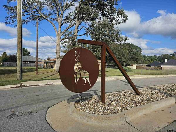 Residential Land for Sale in Chandler, Texas