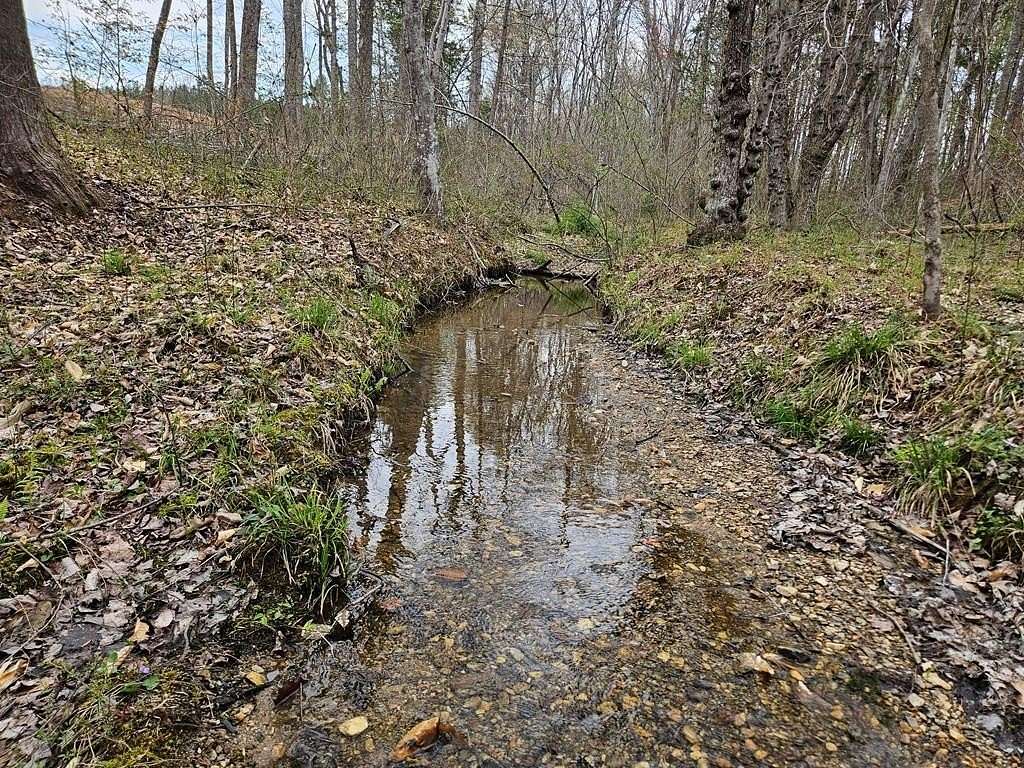 83.9 Acres of Recreational Land for Sale in Buckingham, Virginia