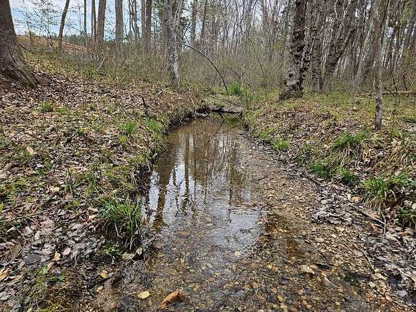 83.9 Acres of Recreational Land for Sale in Howardsville, Virginia