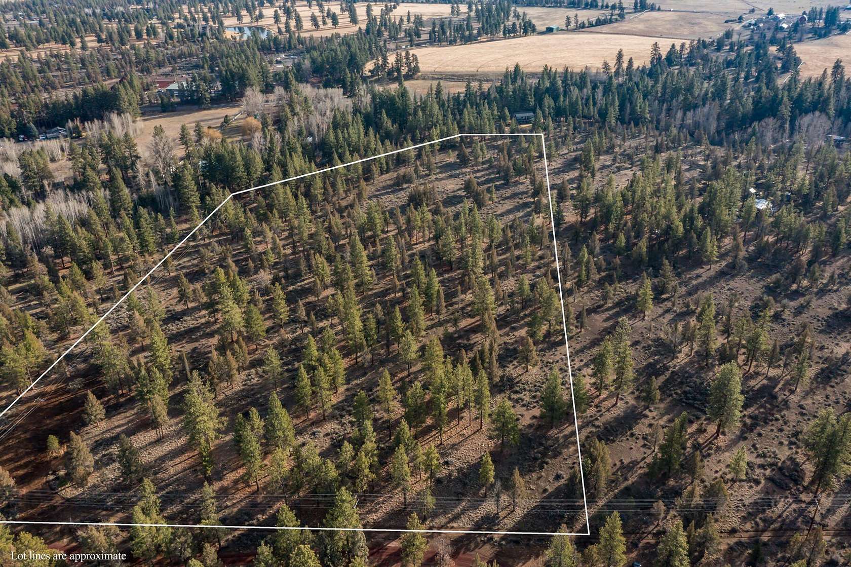 13 Acres of Land for Sale in Sisters, Oregon