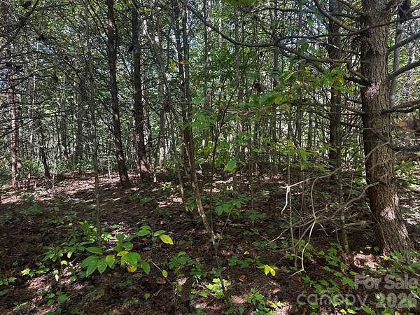 2.2 Acres of Residential Land for Sale in Lake Lure, North Carolina