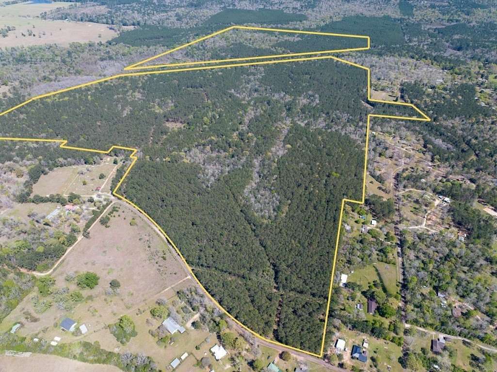 333 Acres of Recreational Land for Sale in Woodville, Texas